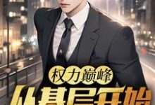 小说权力巅峰:从基层开始步步高升(林漫)最新章节在哪看-黄桃文学