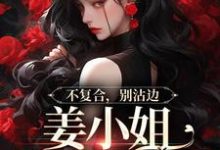不复合,别沾边,姜小姐又美又飒小说资源求分享,不复合,别沾边,姜小姐又美又飒顾衍泽苏辞心在线阅读-黄桃文学