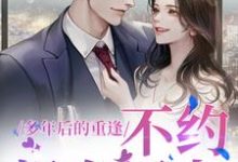 多年后的重逢，不约，姐有男友（禾念安傅璟忱）最新章节在线阅读-黄桃文学
