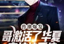 跪求主角是秦枫的小说书名叫什么-黄桃文学