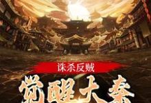 诛杀反贼，觉醒大秦千年气运大结局，嬴启小说无广告阅读-黄桃文学