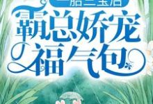 一胎三宝后,霸总娇宠福气包热门小说(陆北城江如意)在线阅读无弹窗-黄桃文学