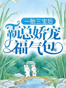 一胎三宝后，霸总娇宠福气包热门小说(陆北城江如意)在线阅读无弹窗