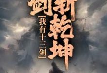 我有十三剑，剑剑斩乾坤完结版陆无尘免费阅读大结局-黄桃文学