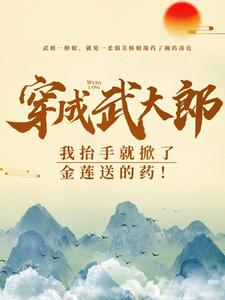 跪求主角是武植潘金莲的小说书名叫什么