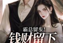 完结版霸总留步!钱财留下爱带走在哪免费看,白挽盛云客小说在线阅读-黄桃文学