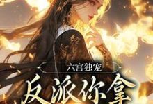 六宫独宠,反派你拿什么和我斗完结版谢淑华免费阅读大结局-黄桃文学