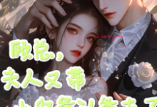 顾总，夫人又带小少爷认爹去了（顾知衍苏禾）最新章节在线阅读-黄桃文学
