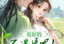 说好的不谈情呢!王爷请自制(风潇潇陆舟渊)最新章节在线阅读-黄桃文学