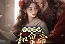穿成贵妃,和皇帝绑定了气运在线看,宋茹元煦小说大结局在哪免费看-黄桃文学