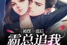 被摆一道后，霸总追我火葬场小说最新章节在哪里可以免费看-黄桃文学