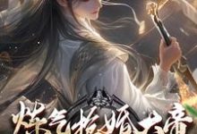 炼气抢婚大帝，你当这里是女频？精彩章节在线免费阅读（陆渊萧韵儿）-黄桃文学