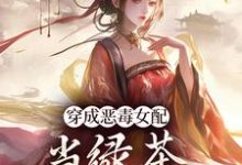 穿成恶毒女配,当绿茶这么有趣?在线看,乔挽颜小说大结局在哪免费看-黄桃文学