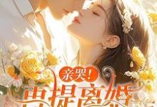 苏暖霍云琛在线阅读,亲哭!再提离婚,霍总彻底失控了小说完结版章节-黄桃文学