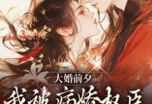 大婚前夕,我被病娇权臣强取豪夺了热门小说(裴砚忱姜映晚)在线阅读无弹窗-黄桃文学