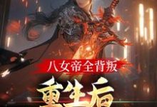 八女帝全背叛,重生后哭着求复合无弹窗陈昊灵最新章节列表-黄桃文学