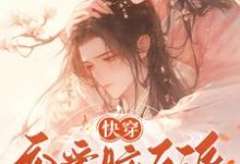 快穿：恋爱脑反派不接受BE剧本在线看，戴柯墨枭小说大结局在哪免费看-黄桃文学
