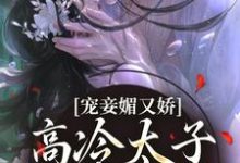 小说宠妾媚又娇,高冷太子为她失了魂(宁宁萧璲)最新章节在哪看-黄桃文学