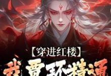 贾环在线阅读，穿进红楼，我贾环精通朝堂争斗小说完结版章节-黄桃文学