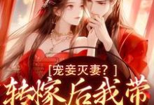 魏芷殊最新章节宠妾灭妻？转嫁后我带皇子夺王位免费阅读-黄桃文学
