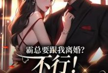 求助这本霸总要跟我离婚？不行！我身无分文小说在哪里可以看完结版-黄桃文学