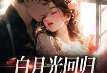 跪求主角是傅景深林夏的小说书名叫什么-黄桃文学