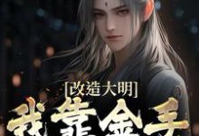 改造大明：我靠金手指夺江山免费阅读(朱高炽)小说免费读最新章节-黄桃文学