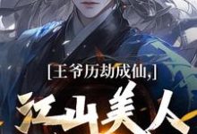 王爷历劫成仙,江山美人全在手(陆澈)完结版免费阅读-黄桃文学