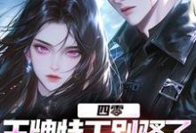 四零:王牌特工别骚了,敌军都怕了(柳龙)最新章节免费阅读-黄桃文学