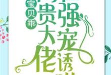 宝贝乖：高贵大佬在强宠诱哄（ 简以宁陆怀瑾）完结版免费阅读-黄桃文学