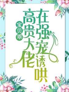 宝贝乖：高贵大佬在强宠诱哄（ 简以宁陆怀瑾）完结版免费阅读