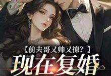 前夫哥又帅又撩？现在复婚来得及吗大结局，安婳肖政小说无广告阅读-黄桃文学
