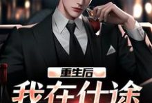 重生后，我在仕途一路狂飙小说资源求分享，重生后，我在仕途一路狂飙秦正在线阅读-黄桃文学