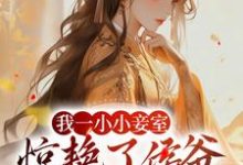 跪求主角是叶青芷谢晋的小说书名叫什么-黄桃文学