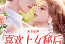 未婚夫喜欢上女秘后,我和初恋好了无弹窗许见溪周妄野最新章节列表-黄桃文学
