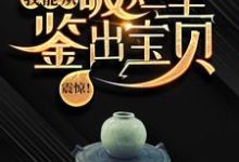 震惊!我能从破烂里鉴出宝贝!热门小说(陆飞)在线阅读无弹窗-黄桃文学
