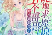 叶小姐独美后，五个哥哥跪地求原谅免费阅读，叶簌簌大结局无弹窗-黄桃文学