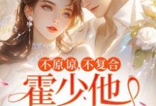 不原谅，不复合，霍少他觊觎我完结版苏眠免费阅读大结局-黄桃文学