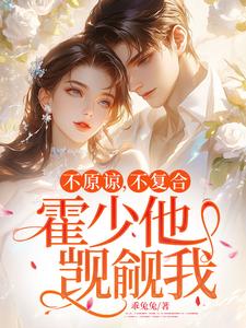 不原谅，不复合，霍少他觊觎我完结版苏眠免费阅读大结局