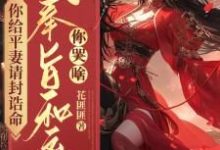 你给平妻请封诰命,我奉旨和离你哭啥?无弹窗陆知苒最新章节列表-黄桃文学