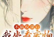 主角是姜明珠的小说不搞权谋后,我坐看废物儿女作死在哪免费看-黄桃文学