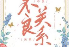 精彩章节阅读不良关系(桑胤衡南枫)免费小说在线看-黄桃文学