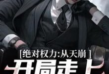 徐子杰宁傲雪小说的结局在哪可以看,绝对权力:从天崩开局走上官途巅峰免费阅读完结版-黄桃文学
