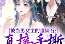 主角是云子娆墨苍澜的小说被当男女主的垫脚石？直接手撕剧本在哪免费看-黄桃文学
