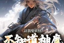 跪求主角是李冲云观音的小说书名叫什么-黄桃文学