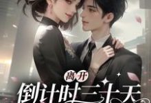 求助这本离开倒计时三十天，傅总破防了小说在哪里可以看完结版-黄桃文学