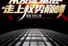 杨飞方婷最新章节官梯:从发配基层走上权势巅峰免费阅读-黄桃文学