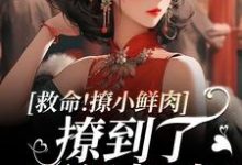 救命!撩小鲜肉撩到了顶级权贵!大结局,李善小说无广告阅读-黄桃文学