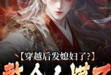 萧辰最新章节列表穿越后发媳妇了？整个人懵了免费阅读-黄桃文学