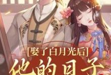 精彩章节阅读娶了白月光后,他的日子鸡飞狗跳(盛栖月萧玉衡)免费小说在线看-黄桃文学